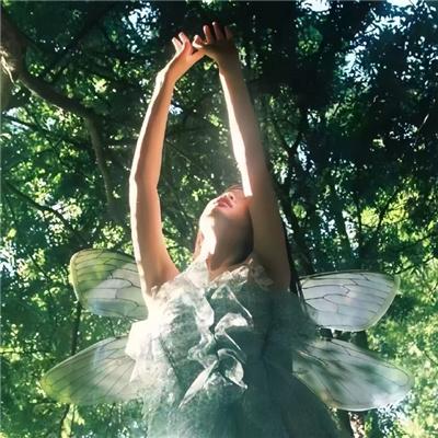 是王者啊？第四季